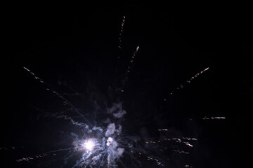Firework. Colorful festive fireworks, standing out against the black sky. A shot of a bright fireworks explosion. Explosion. Firework. An overlay. new year. christmas, independence day, birthday, holi