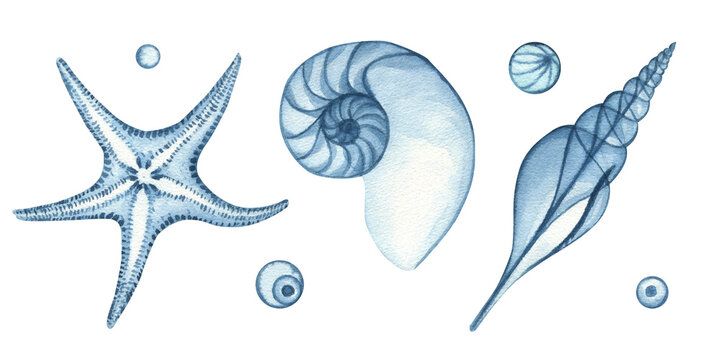 Watercolor nautical illustration, blue transparent shells, starfish and bubbles. Drawing on a white background for postcards, stickers, scrapbooking, posters, prints.
