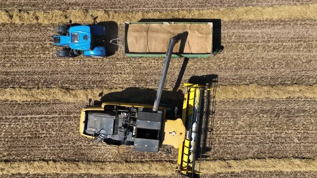 Aerial view of a thresher and a tractor, heavy duty machinery for agricultural farm working harvesting the grain in a field, Brandenburg, Germany.