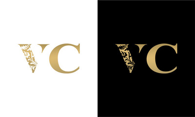 initials VA logo design vector