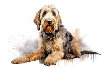 Deurstickers An otterhound, bred originally for otter hunting. A native English breed that is now vulnerable. Digital watercolour on white. © Rixie