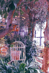 Fototapeta na wymiar An aesthetic composition in boho style with a vintage cage in the center of which is a green plant with a branch extending outward. There is a lot of diverse greenery around