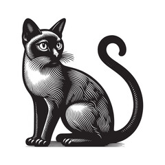 Beautiful Thai cat. Vintage retro engraving illustration. Black icon, logo, label. isolated element. png	