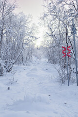 Fototapeta na wymiar Walking path in Abisko National Park (Abisko nationalpark) in winter scenery. Sweden, Arctic Circle, Swedish Lapland