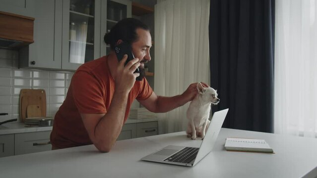 A young bearded man stands sideways in the kitchen in the company of a pet friend, a white dog of breed chihuahua, and strokes it. A smiling entrepreneur works at home remotely, uses a laptop with