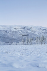 Fototapeta na wymiar Abisko National Park (Abisko nationalpark) in winter scenery. Sweden, Arctic Circle, Swedish Lapland