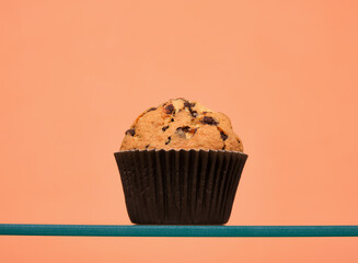 Fresh baked muffin with chocolate chunks. Delicious dessert and hot pastries.