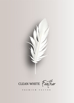 White feather 3d vector illustration design