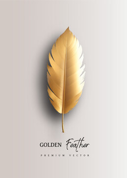 Gold feather vector illustration. Beautiful graceful golden bird feather, decoration for cards or design elemnt