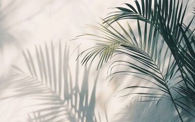 palm tree tree wall abstract