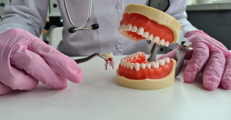 Dentist shows problem areas in teeth on artificial jaw closeup