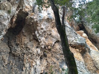 geyikbayiri limestone and cave rock climbing destination