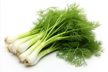 Fresh fennel on clean white background for eye catching advertisements and packaging designs