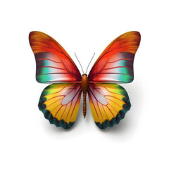 A colorful butterfly is depicted in a flat style and isolated against a white background.