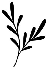 Laurel Leaf Silhouette Design | Original Hand Drawn Vector Plant 