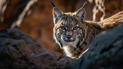 Obraz premium Portrait of a lynx surrounded by nature. Created with Generative Ai technology