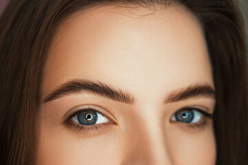 A beautiful girl of model appearance with laminated eyebrows. Close-up of laminated and tinted...