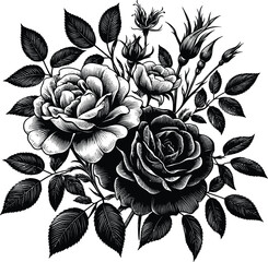 Realistic vector elements set of  roses (petals, leaves, bud and an open flower) with the ability to change the appearance of the flower