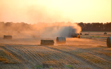 Combine harvester pressing straw from field into bales driving field on sunny summer evening. Field...