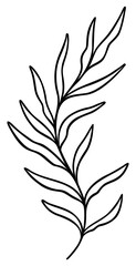 Leaf Line Art | Elegant Leaves | Botanical Plant Vector Artwork