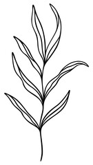 Leaf Line Art | Elegant Leaves | Botanical Plant Vector Artwork