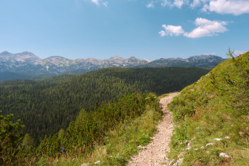 Obraz premium Triglav national park, Slovenia Alps