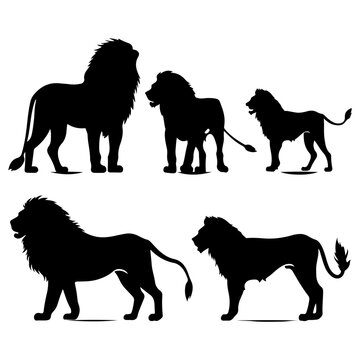 The lion silhouette is set on a white background. Vector of the African lion and illustration