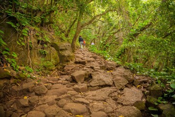Three hikers on the Kalalau trail,11 miles of hiking along the Na Pali Coast on the North Shore of the island of Kauai