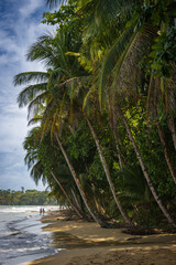 Punta Uva beach near Puerto Viejo de Talamanca (Costa Rica)