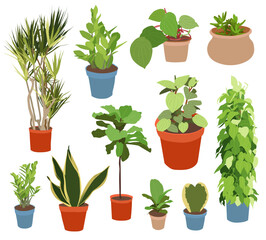 Plants in pots vector illustration set. Houseplants flat different indoor potted decorative houseplants for interior home or office decoration, green garden floral collection icons isolated on white