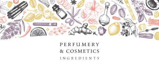Perfumery and cosmetics ingredients banner. Flower, fruit, spice, herb sketches. Hand drawn vector illustration. Cosmetics design template. Aromatic plants background