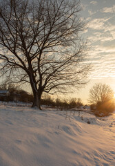 Frosty winter in Russia. Beautiful sunrise in Siberia. 
Cold winter photo.
