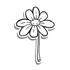 Black line Single Daisy Flower Bloom on white silhouette and gray shadow. Hand drawn cartoon style. Vector illustration for decorate, coloring and any design.