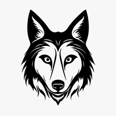 vector illustration of wolf head