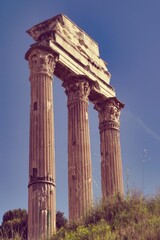Roman forum - Rome Italy	