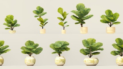  a bunch of potted plants sitting on top of each other in front of a white wall and a white wall.