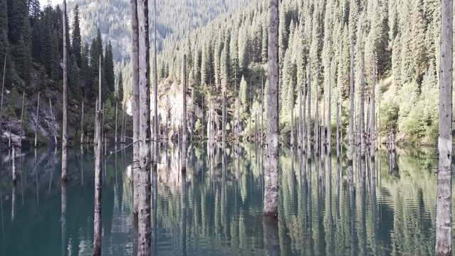 Kaindy.&nbsp; Lake in Kazakhstan. Video from a quadcopter.