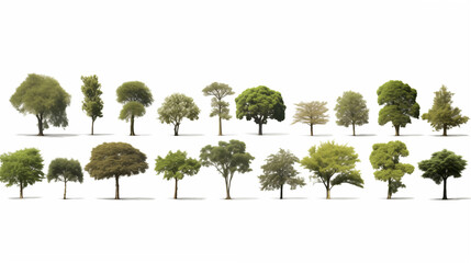 set of big trees on a white background.