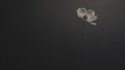  a black and white photo of a single flower in a vase with a stem sticking out of it's center.