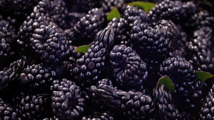  a close up of a bunch of blackberries with green leaves on the top and bottom of the blackberries.
