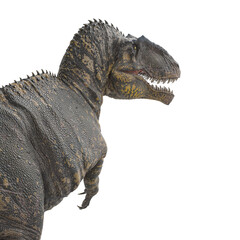 giganotosaurus is looking for food on white background in rear view © DM7