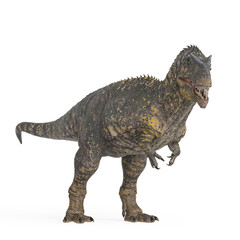 giganotosaurus is looking for food on white background © DM7