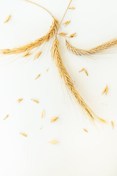 This image shows golden wheat ears and grains on a white background, symbolizing harvest and natural food.