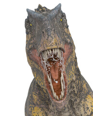 giganotosaurus on white background close up view © DM7