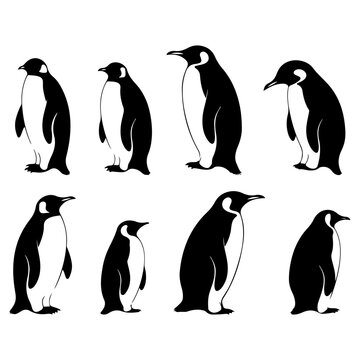 Penguin's black silhouette is set on a white background. Cute penguin vector illustration
