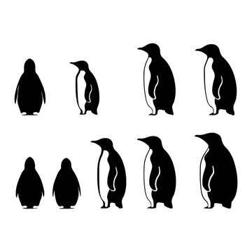 Penguin's black silhouette is set on a white background. Cute penguin vector illustration