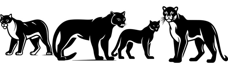 vector illustration of Panther