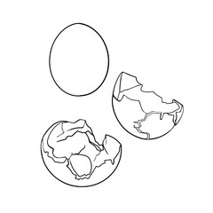 Vector illustration of a contour, set of eggs, whole and broken chicken eggs. Blank for designer, logo, icon, label. Isolated on a white background
