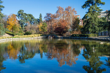set of trees reflecting in a pond in the Fuente del Berro park in Madrid. Spain