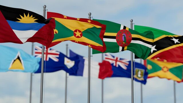 OECS or Organisation of Eastern Caribbean States flags waving together on cloudy sky, endless seamless loop